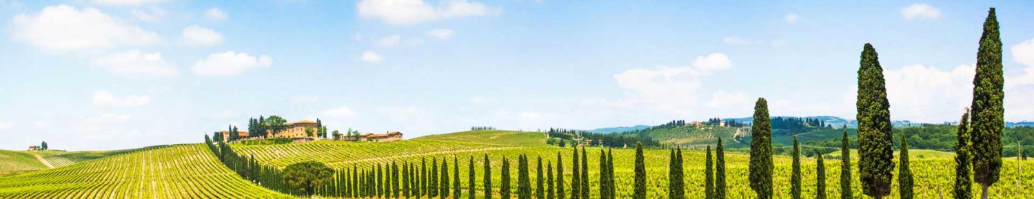 Best Tuscan Wineries Wine Tours With Angie From Florence