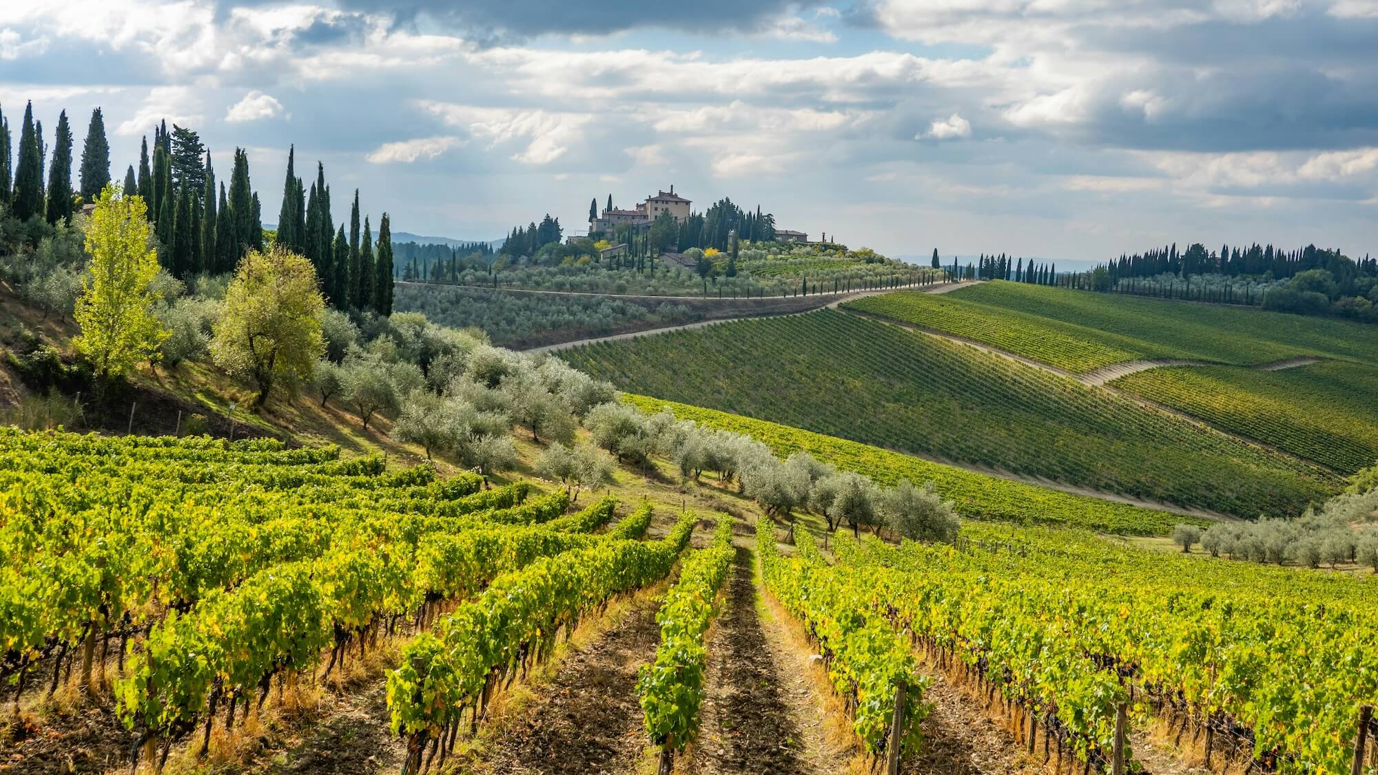 chianti wine regions