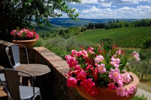 a winery overlooking the vineyards