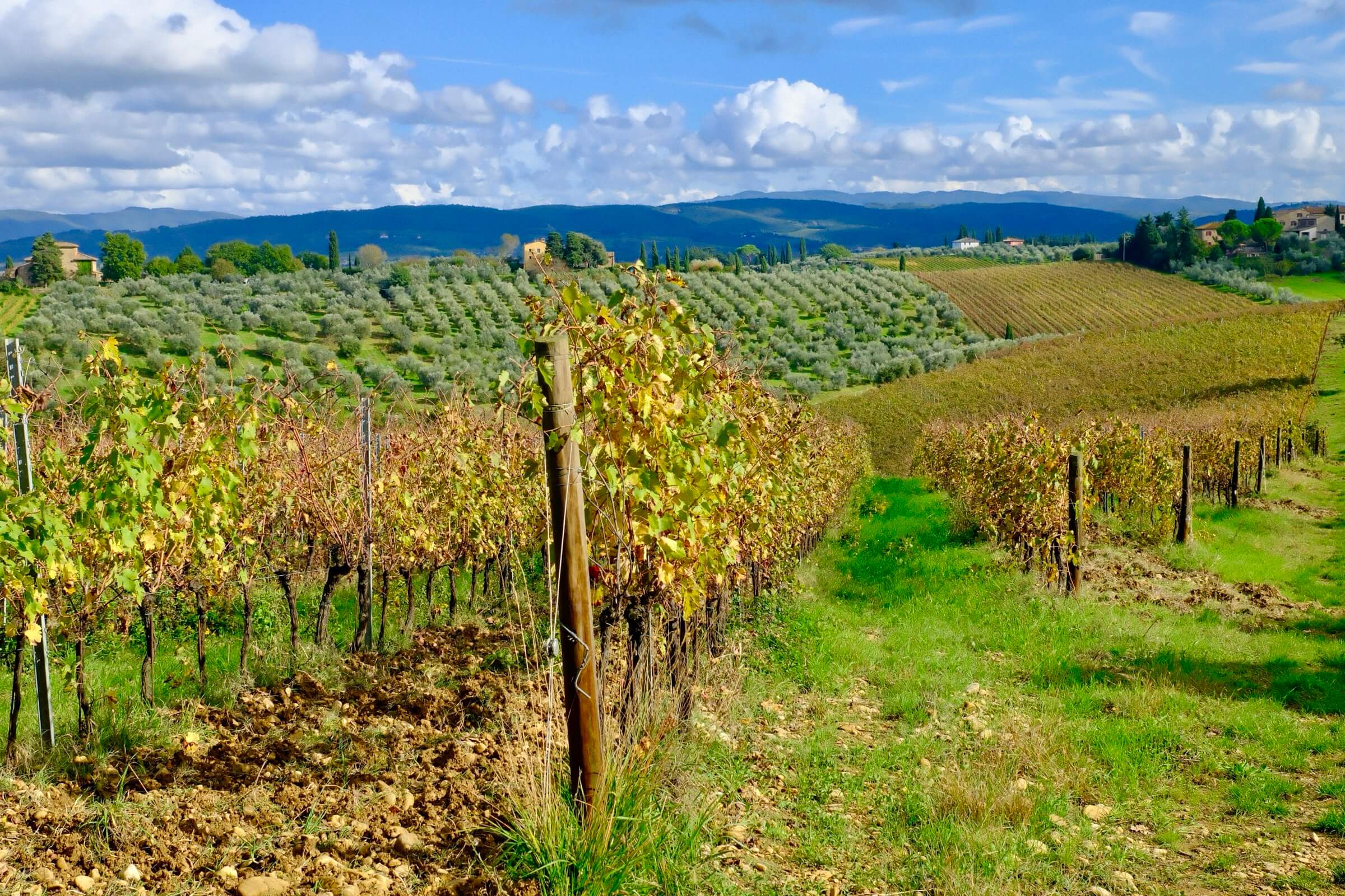 chianti colli fiorentini